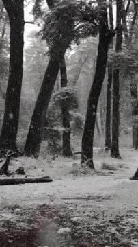 14473422_1080_1920_30fps